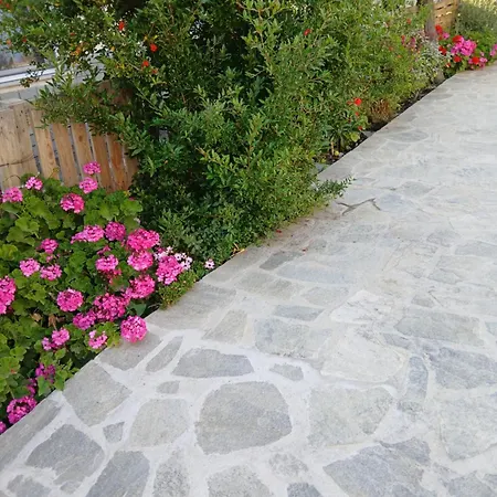 شقة Alana Cozy Place